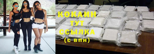 гидра Гусиноозёрск
