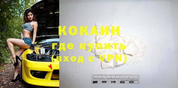 гидра Гусиноозёрск