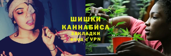 гидра Гусиноозёрск