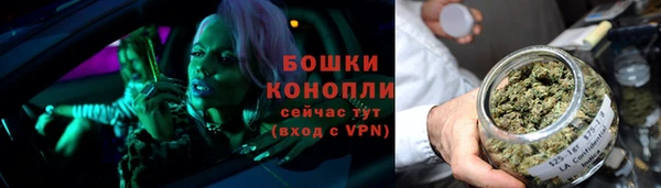 гидра Гусиноозёрск