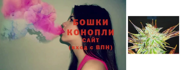 гидра Гусиноозёрск