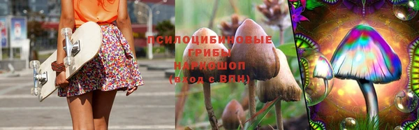 гидра Гусиноозёрск
