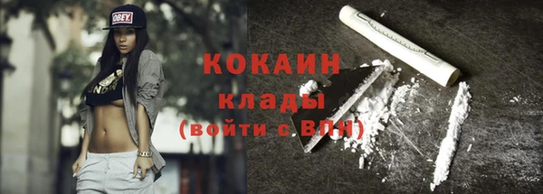 гидра Гусиноозёрск