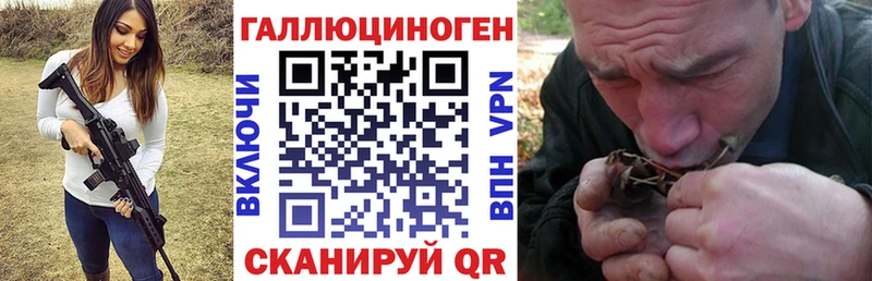 цена   Нефтекамск  Галлюциногенные грибы Cubensis 